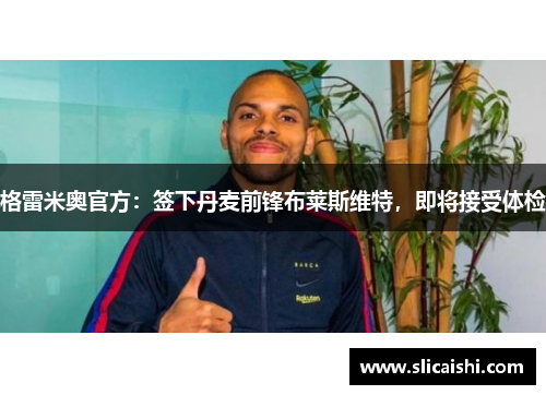格雷米奥官方：签下丹麦前锋布莱斯维特，即将接受体检